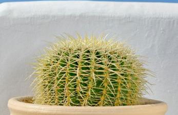 Hotel Castillio - Foto 62