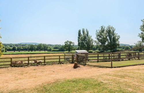 Piglet Corner - Photo 29