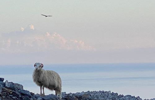 Wooden House at the Mountain-private - Foto 46