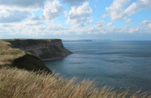 Woodside-Filey - Photo 44