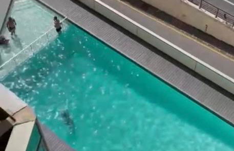 T2 Apartment Eugenie Ocean View Grande Plage and Pool - Foto 7