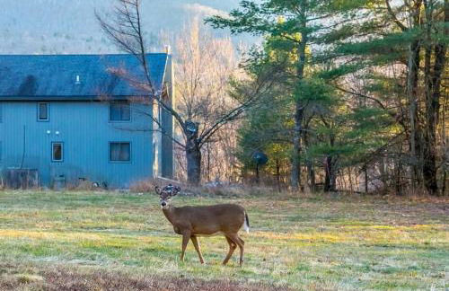 Mountain house w/ stunning views & gourmet kitchen - Foto 25