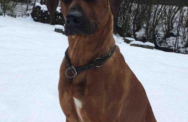 Ommelsbacher Mühle - Foto 39