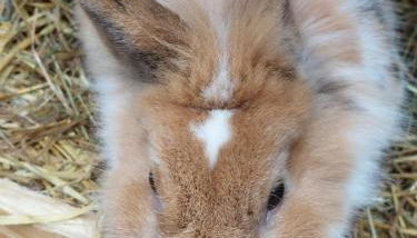 am Balkon des Erzgebirges - Foto 3