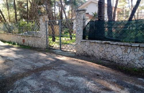 Villa immersa in pineta 100m dalla spiaggia - Foto 15