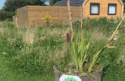 Dwell on the Moor - Foto 39