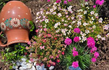 Apartament Nina - Foto 34