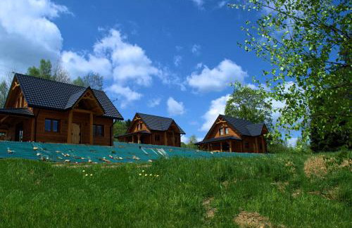 Bieszczadzkie Dworki - Foto 35