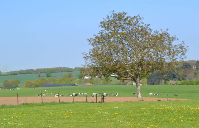 Attractive Apartment in South Limburg - Photo 19