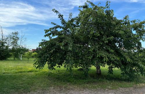 Entre Vignes et Verger - Foto 18