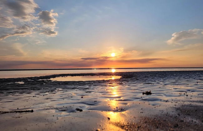 Aalernhus Residenzen in St.peter-ording - Photo 23