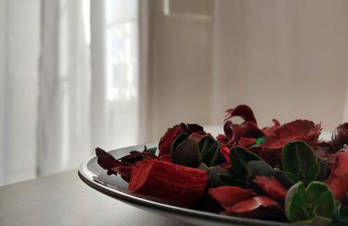 Estúdio na Carreira - Foto 6