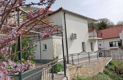 Apartman Maja - Foto 17