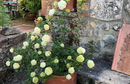 Agriturismo San Giusto - Foto 27