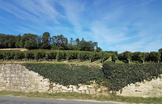 Romantic Stay in a Medieval Castle With Pool and Restaurant Among Others - Foto 71