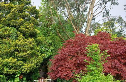 Charming 1 bedroom self-contained first floor flat - Foto 10