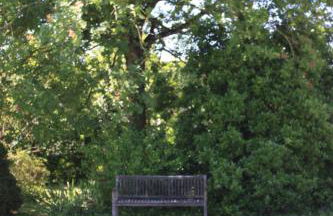 Villa Le Printemps, maison 15 pers avec piscine - Photo 36