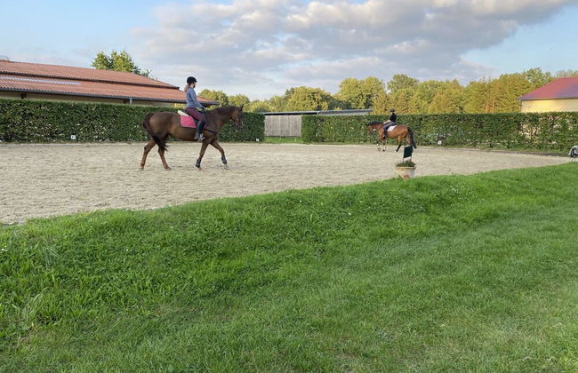 Gemutliche Unterkunfte auf dem Reiterhof in Eschede - Foto 73