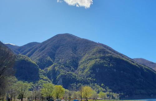 BloomHouse - apartment - Foto 24