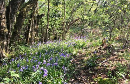 Holsworthy Holiday Cottages - Foto 9