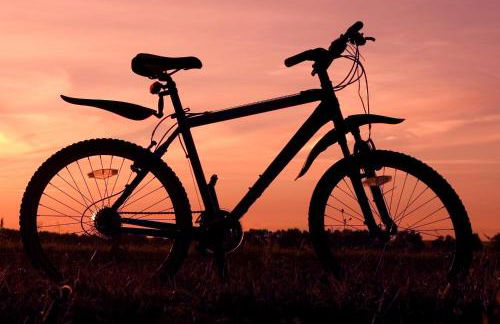 The SPACE Large House In Afan Forest Bike Park By STAE-Homes - Photo 41