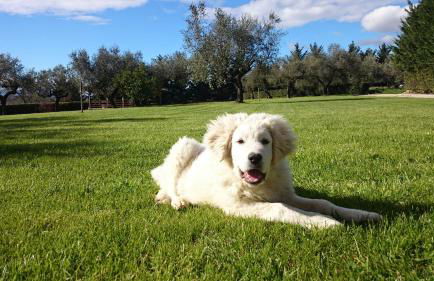 Il Casino di Remartello - Foto 74