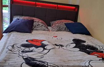 Ferienwohnung Chiemgau - erleben - Foto 21