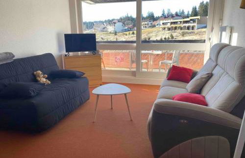 Appmt 4 pers aux pieds des pistes - Foto 5