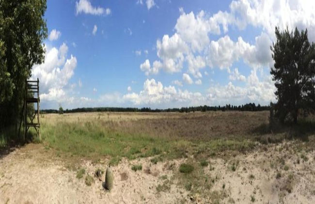 Chalet by Pond in Eindhoven Holiday Park - Photo 26