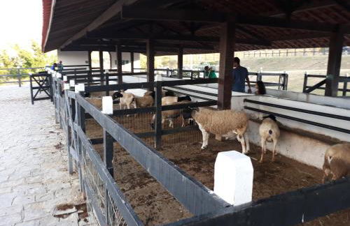 Flat Monte Castelo Gravatá Módulo 17 - Foto 32