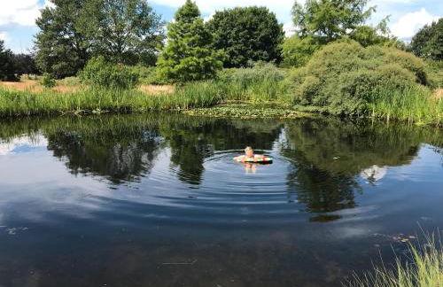 Schwalbennest - Foto 16