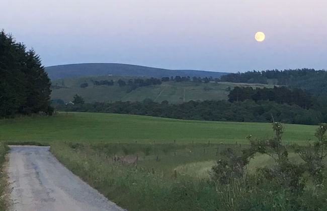 Hillside Havens - Foto 62