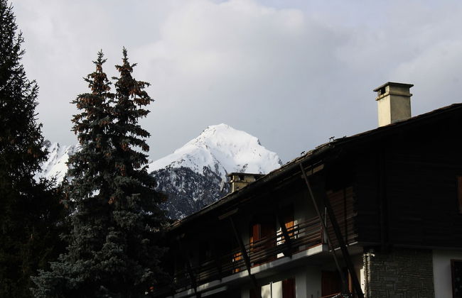 Petit Etoile - Foto 35