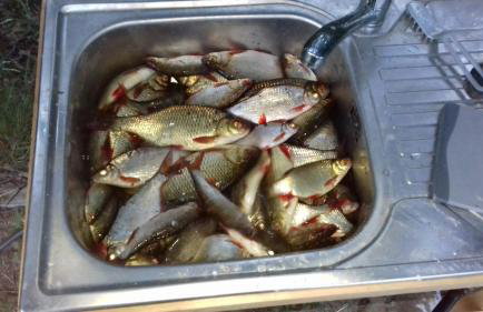 Pauza Drzewoszewo - Dom nad jeziorem - Foto 16