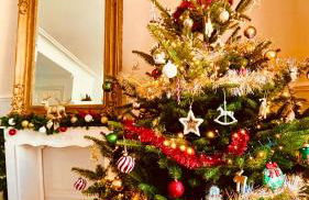 La Villa Alma Colmar - Foto 9