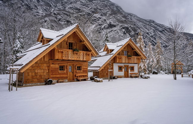 ALPIK Chalets - Bohinj - Foto 48