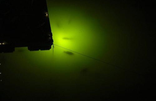 Paradise Key - Foto 32