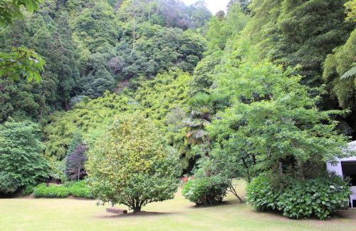 Casa da Cascata - Photo 23