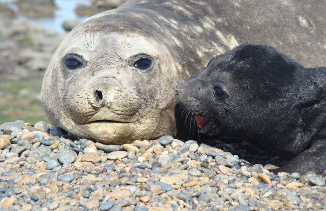 Ramada Residences by Wyndham Puerto Madryn CQ Mitre - Photo 52