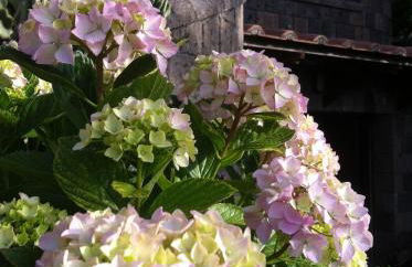 Villa Eugenia - Foto 42