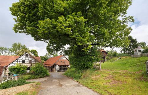 Hofgut Uhenfels - Foto 10