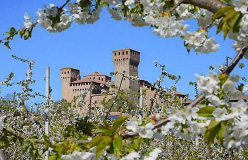 La Casa dei Ciliegi - Photo 6