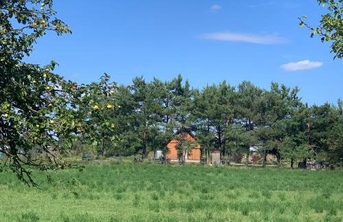 Domek wypoczynkowy Letnisko Sosenkowo - Foto 50