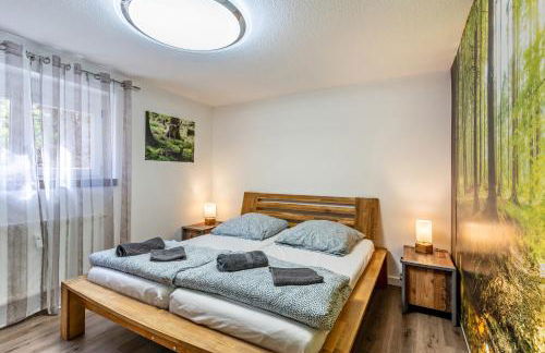 Ribeiro Tesouro - Foto 12