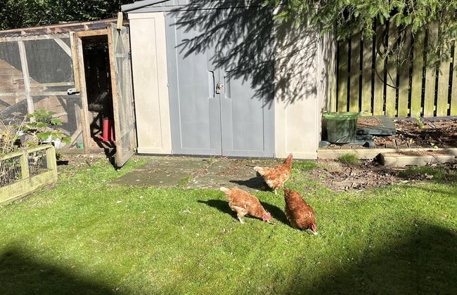 Blaydonburn - Sleeps 4,5 - Parking - Hottub - Yard - Photo 38