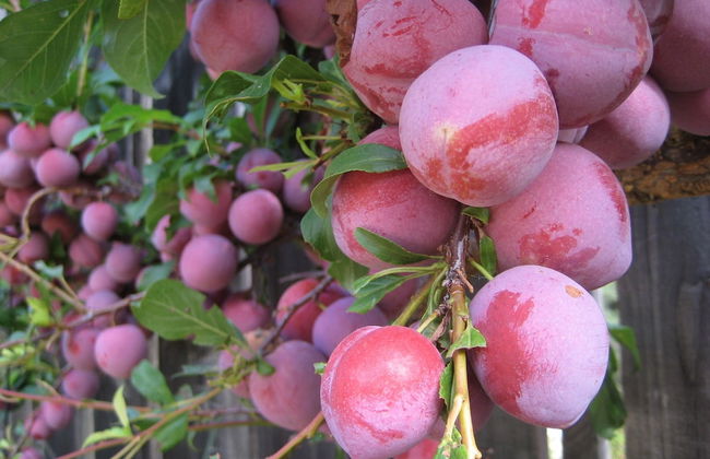 Seaside House 2 Double Bedrooms With Spectacular Mountain Sea View - Foto 16