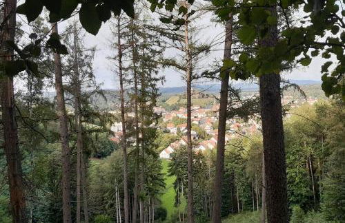 Gîte du Verre au Sabot 5 étoiles avec spa privatif - Foto 59