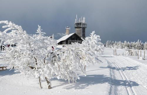 Ferienwohnung Tannenblick 2-2 3-4 - Photo 38