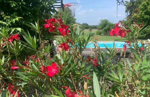 Haus Matti - Foto 10