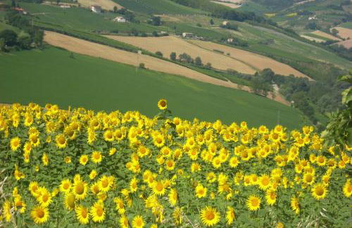 C'era Una Volta - Foto 18